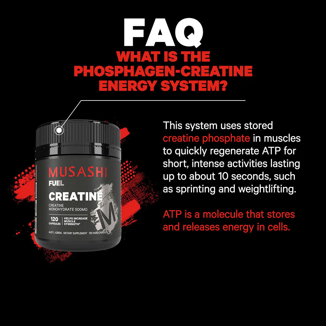 Creatine 120 Capsules - Image 3