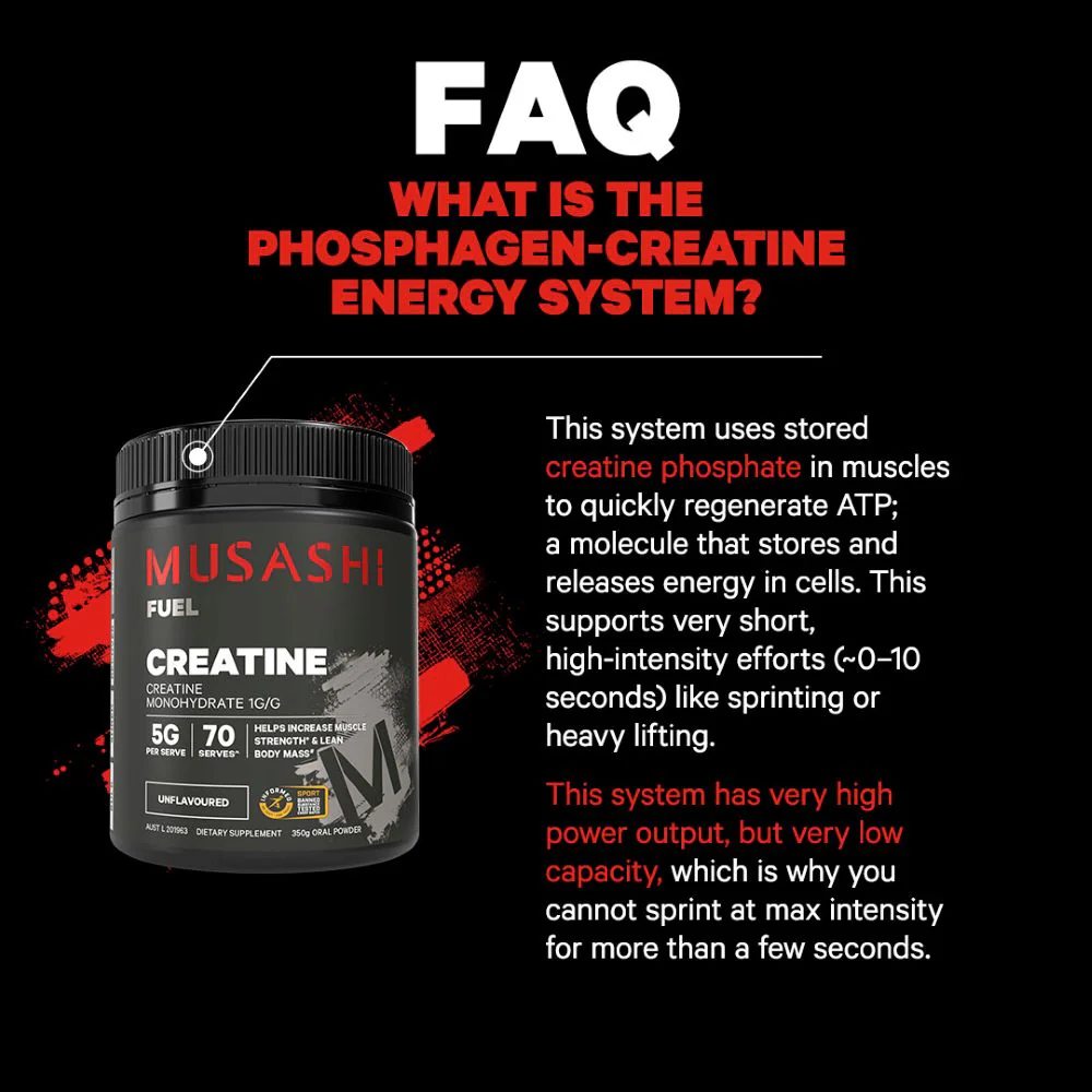 Creatine Monohydrate Powder Unflavoured or Flavoured - Image 4