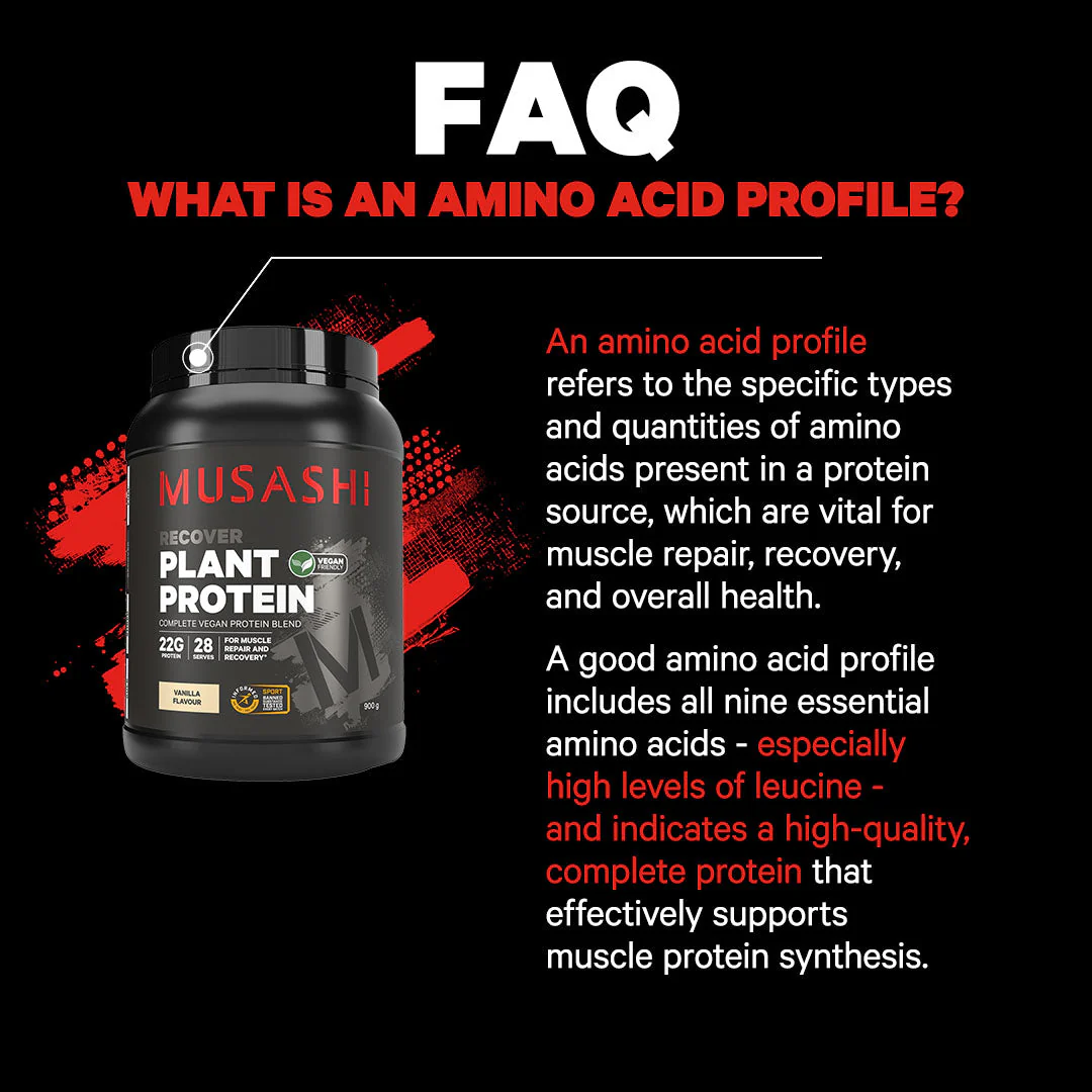 Plant Protein Powder - Image 3