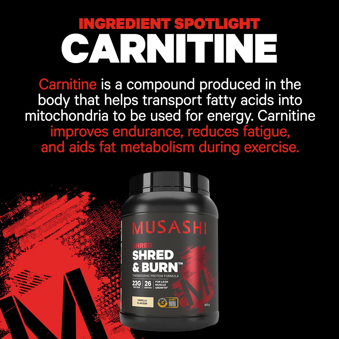 Shred & Burn Protein Powder - Image 4
